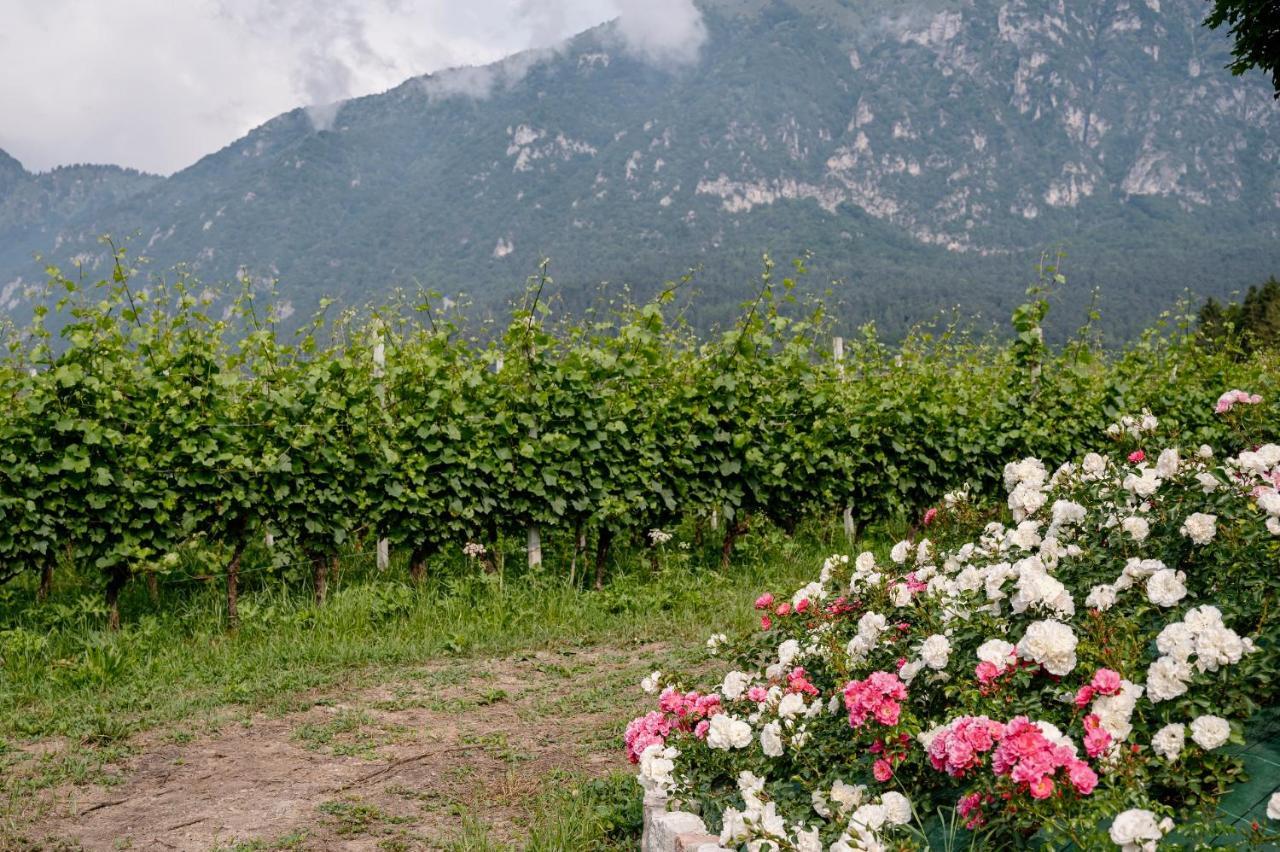 Agriturismo Maso alle Rose Balbido-rango Esterno foto