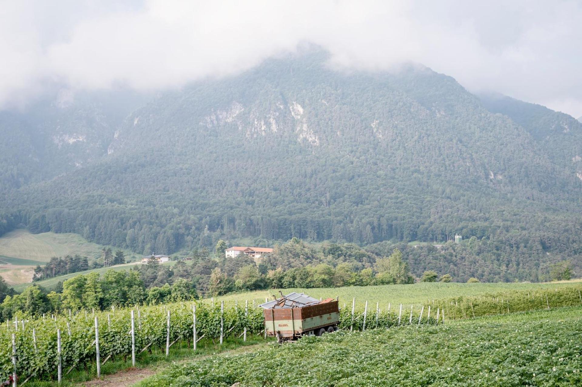 Agriturismo Maso alle Rose Balbido-rango Esterno foto