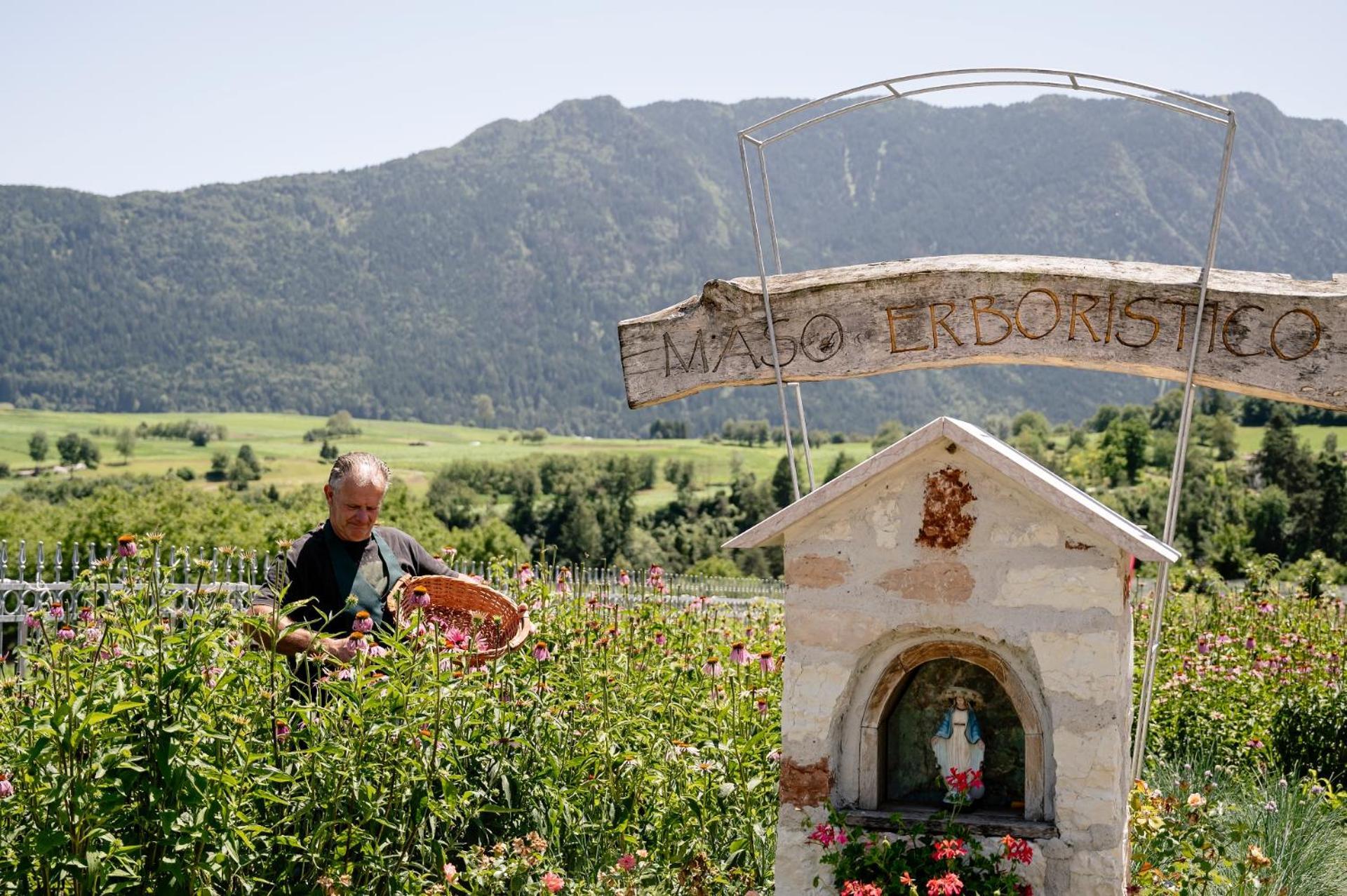 Agriturismo Maso alle Rose Balbido-rango Esterno foto