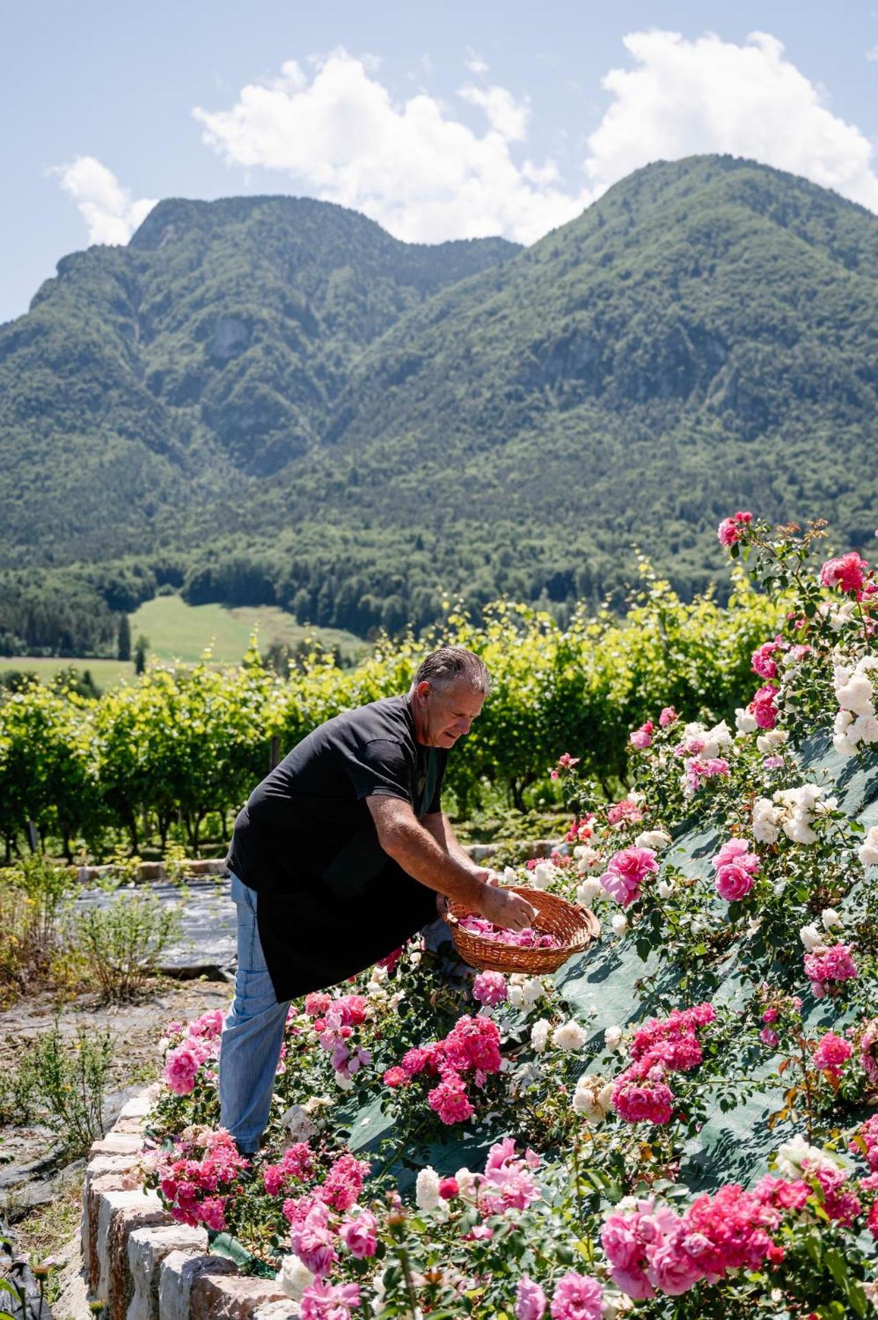 Agriturismo Maso alle Rose Balbido-rango Esterno foto